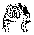 BOXER.TIF
