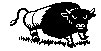 BISON1.TIF