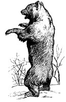 BAER6.TIF
