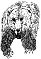 BAER4.TIF