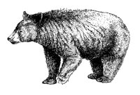 BAER3.TIF