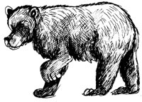 BAER2.TIF