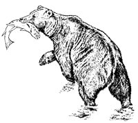 BAER1.TIF