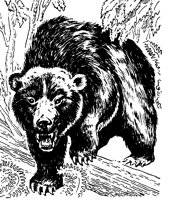 BAER.TIF