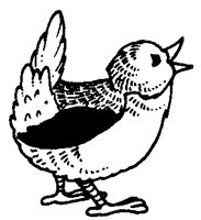 VOGEL4.TIF