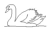 SCHWAN.TIF