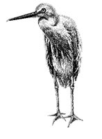 KULU.TIF