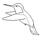 KOLIBRI.TIF