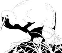 KIWI.TIF