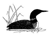 ENTE7.TIF