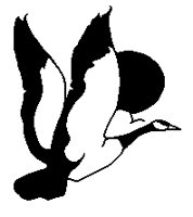 ENTE6.TIF