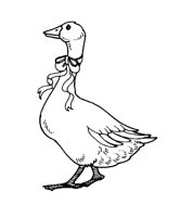 ENTE4.TIF