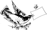 BIRDCARD.TIF