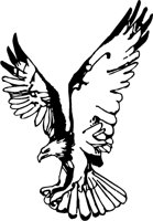 ADLER8.TIF