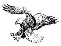 ADLER2.TIF