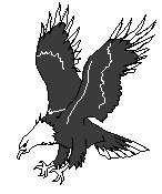 ADLER.TIF