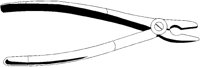 ZANGE5.TIF