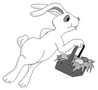 O_HASE16.TIF