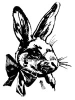 O_HASE15.TIF