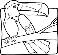 TOUCANR.WMF