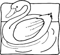 SWANR.WMF
