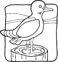 SEAGULLR.WMF