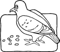 PIGEONR.WMF