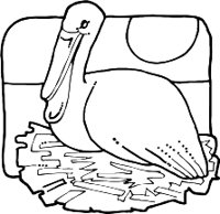 PELICANR.WMF