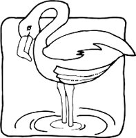 FLAMINGR.WMF