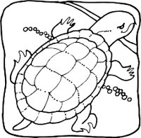 TURTLER.WMF