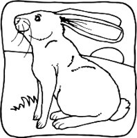 RABBITR.WMF