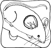 MOUSER.WMF