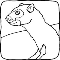 FERRETR.WMF