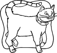 CAT6R.WMF