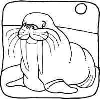 WALRUSR.WMF