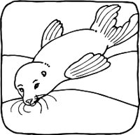 SEALR.WMF