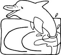 DOLPHINR.WMF