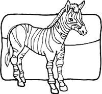 ZEBRAR.WMF