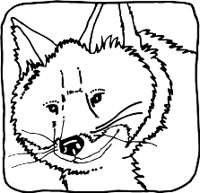 WOLFR.WMF