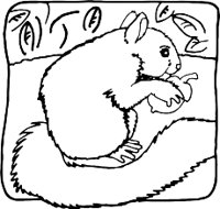 SQUIRRER.WMF