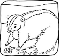 SKUNKR.WMF