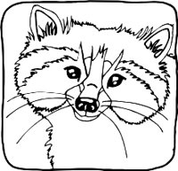 RACCOONR.WMF