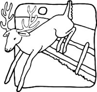 DEERR.WMF