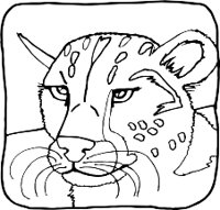 CHEETAHR.WMF