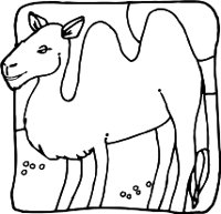 CAMELR.WMF
