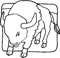 BUFFALOR.WMF
