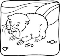 BEAVERR.WMF