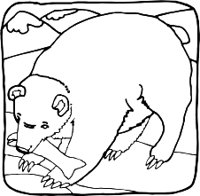 BEARR.WMF