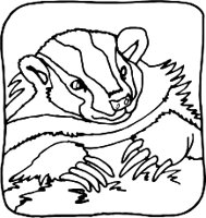 BADGERR.WMF
