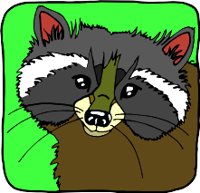 RACCOONR.WMF